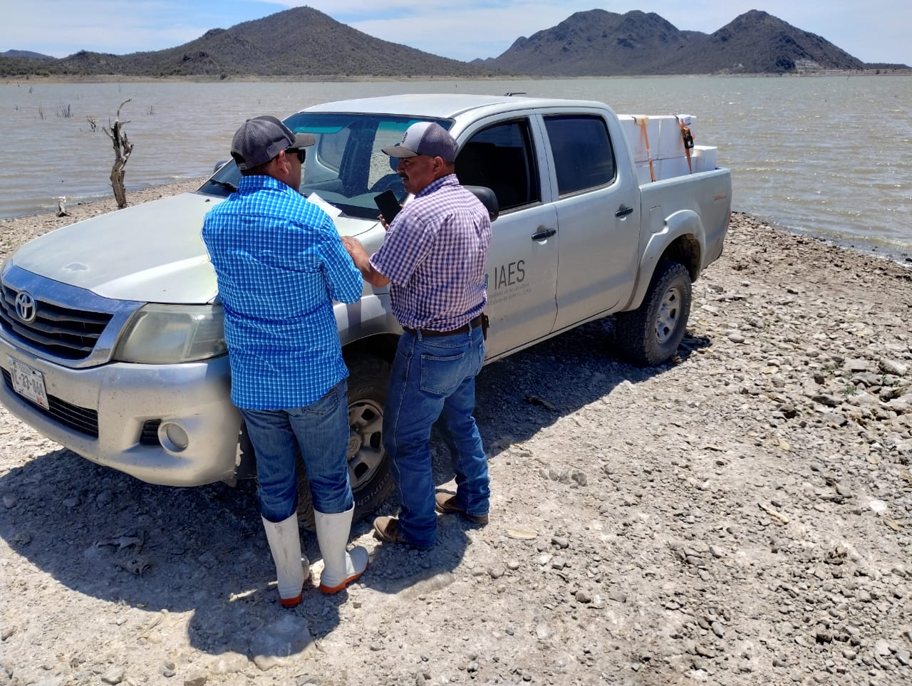 Incentiva el IAES desarrollo económico con repoblamiento de tilapia en “El Molinito”